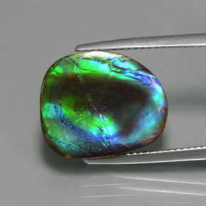 Ammolite Multicolore naturelle Forme fantaisie, 8.30 ct, Opaque