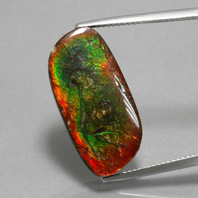 Ammolite Multicolore naturelle Forme fantaisie, 12.96 ct, Opaque