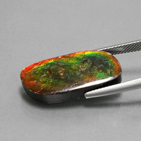 Ammolite Multicolore naturelle Forme fantaisie, 12.96 ct, Opaque