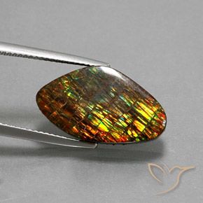 Ammolite Multicolore naturelle Fantaisie, 10.29 ct, Opaque