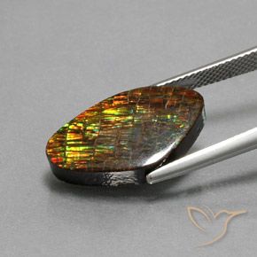 Ammolite Multicolore naturelle Fantaisie, 10.29 ct, Opaque