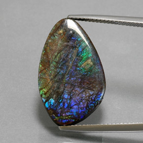Ammolite multicolore naturelle forme fantaisie, 10,99 ct, opaque
