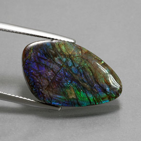 Ammolite multicolore naturelle forme fantaisie, 10,99 ct, opaque