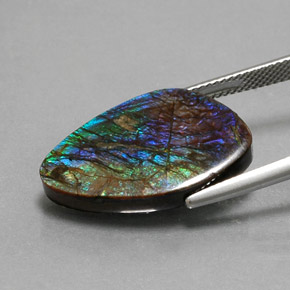 Ammolite multicolore naturelle forme fantaisie, 10,99 ct, opaque