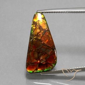 Ammolite Multicolore naturelle Trillion, 10.25 ct, Opaque