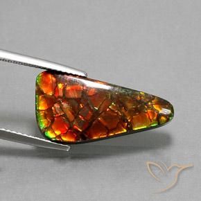 Ammolite Multicolore naturelle Trillion, 10.25 ct, Opaque