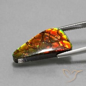 Ammolite Multicolore naturelle Trillion, 10.25 ct, Opaque