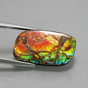 Ammolite multicolore naturelle forme fantaisie, 11,39 ct, opaque