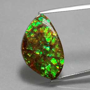 Ammolite Multicolore naturelle Forme fantaisie, 11.61 ct, Opaque