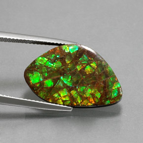 Ammolite Multicolore naturelle Forme fantaisie, 11.61 ct, Opaque