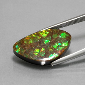 Ammolite Multicolore naturelle Forme fantaisie, 11.61 ct, Opaque