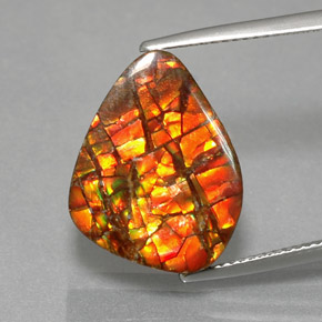 Ammolite multicolore naturelle forme fantaisie, 11,57 ct, opaque