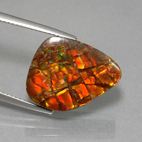 Ammolite multicolore naturelle forme fantaisie, 11,57 ct, opaque