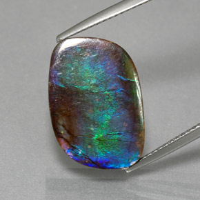 Ammolite multicolore naturelle forme fantaisie, 8,79 ct, opaque