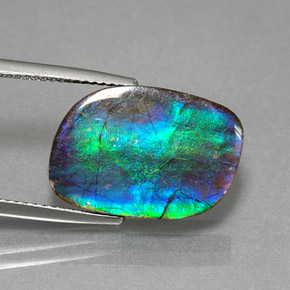 Ammolite multicolore naturelle forme fantaisie, 8,79 ct, opaque