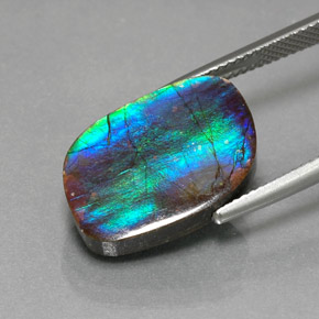 Ammolite multicolore naturelle forme fantaisie, 8,79 ct, opaque