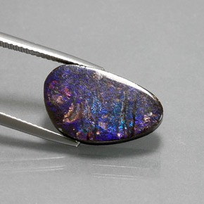 Ammolite Multicolore naturelle Forme fantaisie, 7.74 ct, Opaque