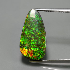 Ammolite Multicolore naturelle Forme fantaisie, 7.57 ct, Opaque