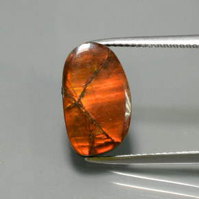 Ammolite Multicolore naturelle Forme fantaisie, 5.02 ct, Opaque