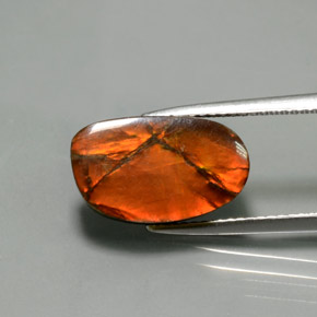 Ammolite Multicolore naturelle Forme fantaisie, 5.02 ct, Opaque