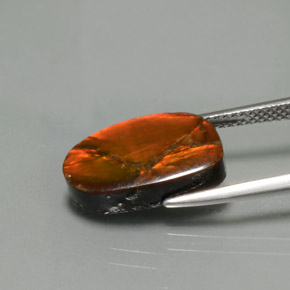 Ammolite Multicolore naturelle Forme fantaisie, 5.02 ct, Opaque