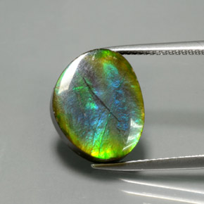 Ammolite Multicolore naturelle Forme fantaisie, 7.03 ct, Opaque