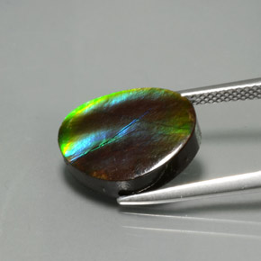 Ammolite Multicolore naturelle Forme fantaisie, 7.03 ct, Opaque