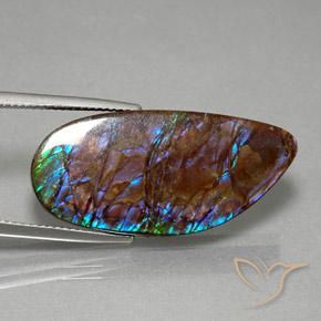 Ammolite Multicolore naturelle Fantaisie, 19.21 ct, Opaque