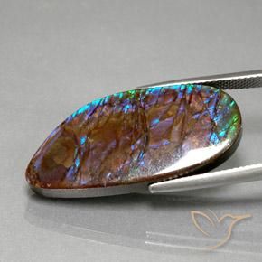 Ammolite Multicolore naturelle Fantaisie, 19.21 ct, Opaque