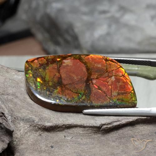Ammolite Multicolore naturelle Fantaisie, 26.89 ct, Opaque