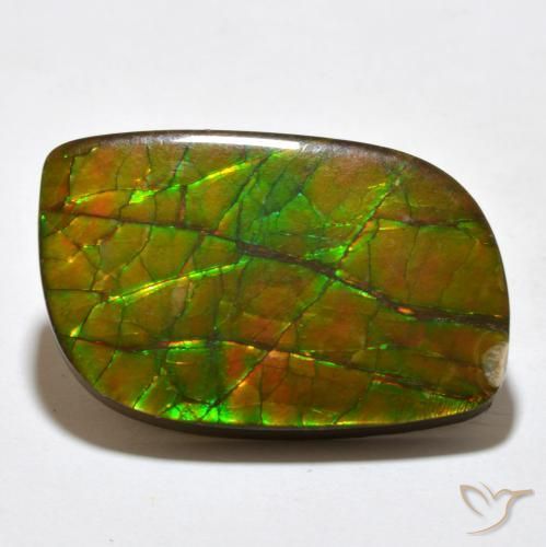 Ammolite Multicolore naturelle Fantaisie, 19.27 ct, Opaque