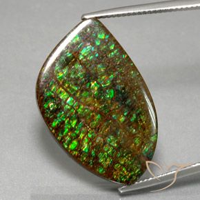 Ammolite Multicolore naturelle Fantaisie, 21.29 ct, Opaque