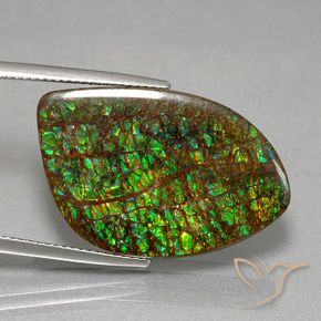 Ammolite Multicolore naturelle Fantaisie, 21.29 ct, Opaque