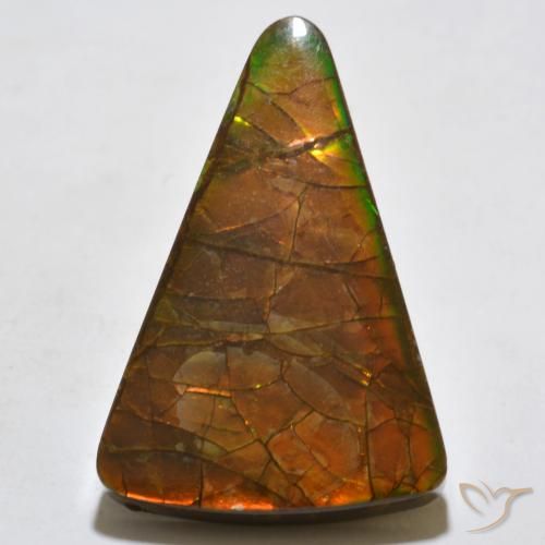Ammolite Multicolore naturelle Trillion, 20.44 ct, Opaque