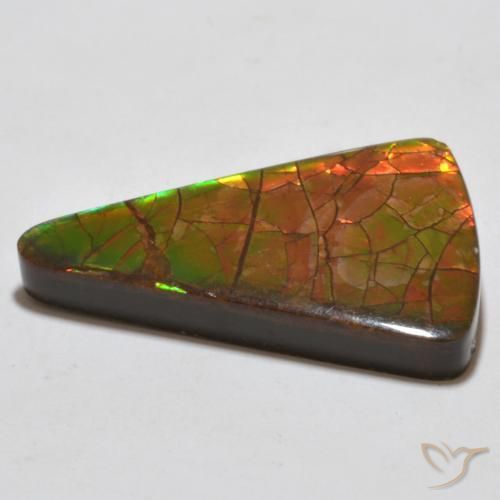 Ammolite Multicolore naturelle Trillion, 20.44 ct, Opaque