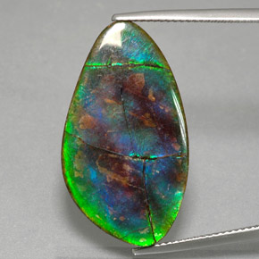 Ammolite multicolore naturelle forme fantaisie, 18,18 ct, opaque
