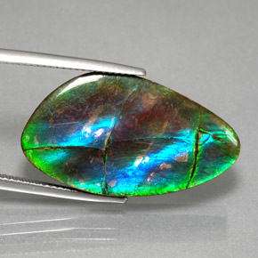 Ammolite multicolore naturelle forme fantaisie, 18,18 ct, opaque