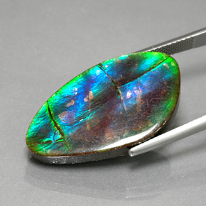 Ammolite multicolore naturelle forme fantaisie, 18,18 ct, opaque