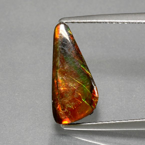 Ammolite multicolore naturelle forme fantaisie, 3,13 ct, opaque