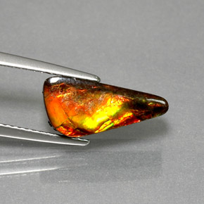 Ammolite multicolore naturelle forme fantaisie, 3,13 ct, opaque