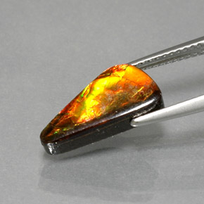 Ammolite multicolore naturelle forme fantaisie, 3,13 ct, opaque