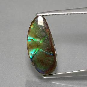Ammolite Multicolore naturelle Forme fantaisie, 4.32 ct, Opaque