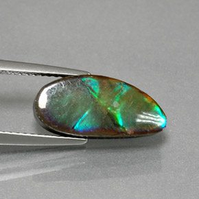 Ammolite Multicolore naturelle Forme fantaisie, 4.32 ct, Opaque