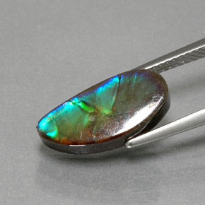 Ammolite Multicolore naturelle Forme fantaisie, 4.32 ct, Opaque
