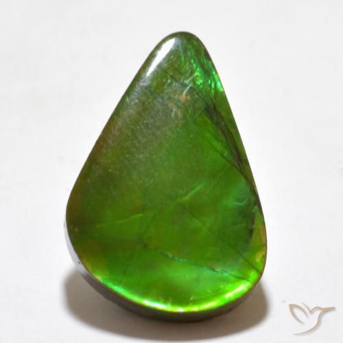 7.77ct Naturel Multicolore Ammolite, Fantaisie, Opaque