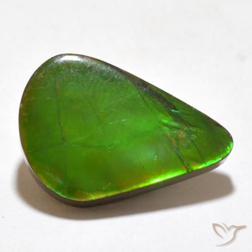 Ammolite Multicolore naturelle Fantaisie, 7.77 ct, Opaque