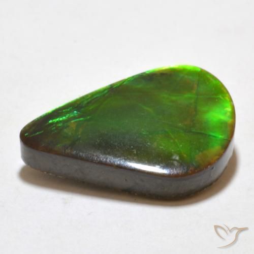 Ammolite Multicolore naturelle Fantaisie, 7.77 ct, Opaque
