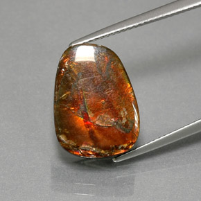Ammolite multicolore naturelle forme fantaisie, 7,76 ct, opaque