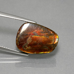 Ammolite multicolore naturelle forme fantaisie, 7,76 ct, opaque