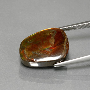 Ammolite multicolore naturelle forme fantaisie, 7,76 ct, opaque